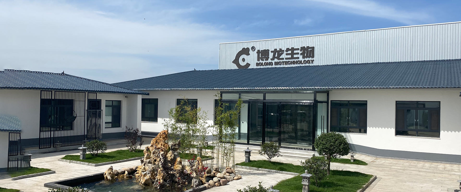 團(tuán)隊介紹